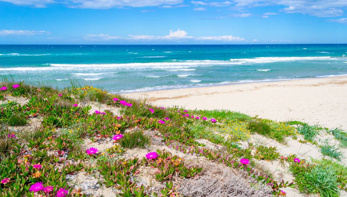 spiaggia-platamona
